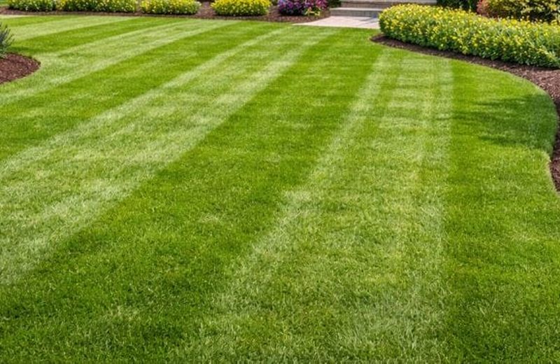 Close-up of striped lawn edging beside mulched planting beds with seasonal flowers